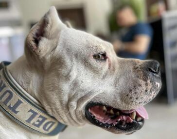 Kliknij w obrazek, aby zobaczyć więcej informacji