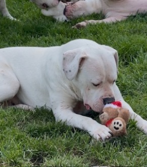 Kliknij w obrazek, aby zobaczyć więcej informacji