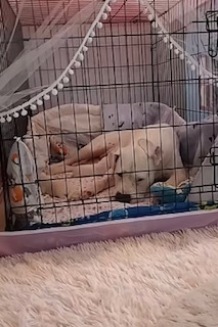 Kliknij w obrazek, aby zobaczyć więcej informacji